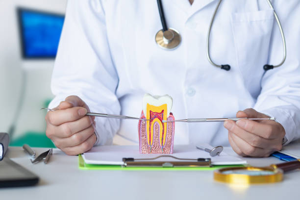 Best Emergency Root Canal Treatment in New Town, ND
